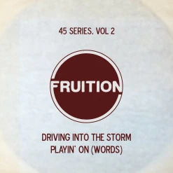Fruition New Merch 45 Series Vol. 2 7" Vinyl