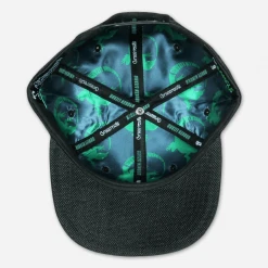 Broken Lizard Logo Black Snapback Hat New Merch 8 Broken Lizard Logo Black Snapback Hat New Merch