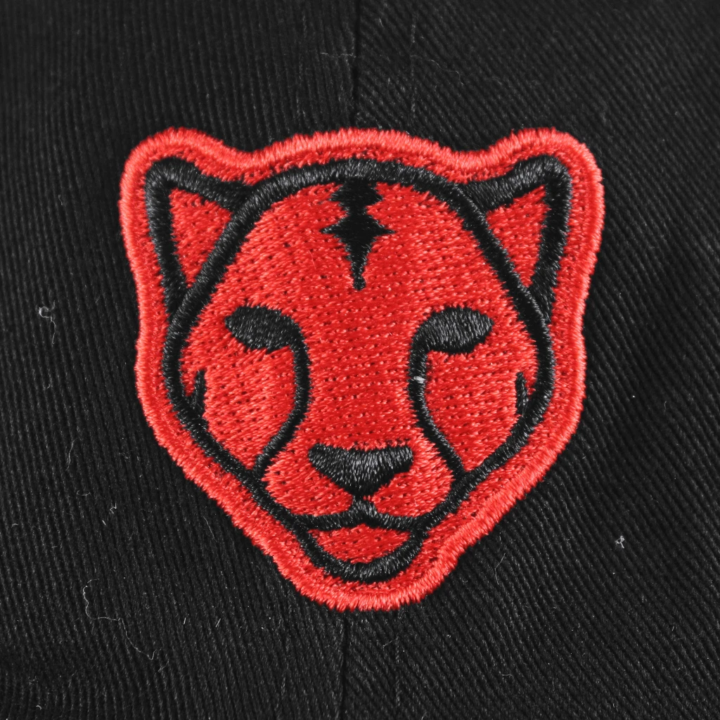 Black Pumas New Merch Monoline Dad Hat 2 Black Pumas New Merch Monoline Dad Hat