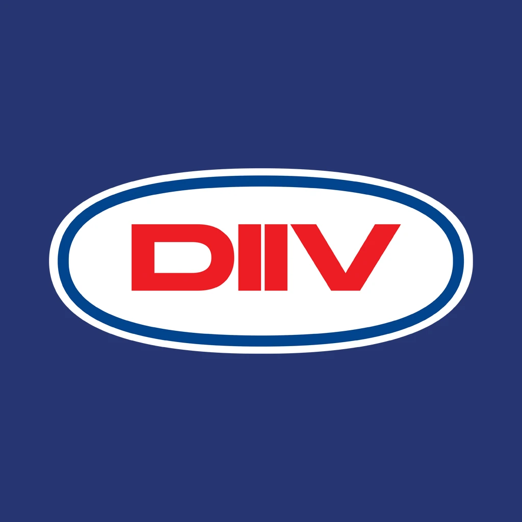 DIIV Surfer Girl Hooded Sweatshirt 2 DIIV Surfer Girl Hooded Sweatshirt