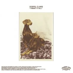 President Gator New Merch Gospel Claws / ROAR Split 7"