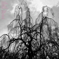 Colin Stetson Never Were The Way She Was