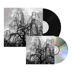 Colin Stetson Never Were The Way She Was