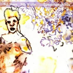New Merch Bob Moses & Billy Martin - Drummingbirds CD