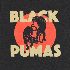 Black Pumas Double Puma Charcoal Black Triblend T-Shirt