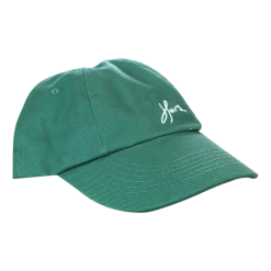 Her's Script Dino Green Dad Hat New Merch