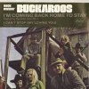 Buck Owens’ Buckaroos I’m Coming Back Home To Stay