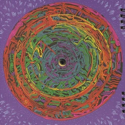 A Place To Bury Strangers Live At Death By Audio 2012 7" Flexi Vinyl Book New Merch 12 A Place To Bury Strangers Live At Death By Audio 2012 7