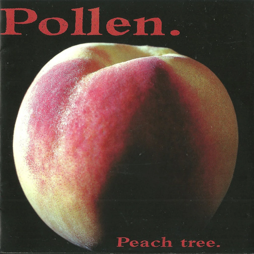 President Gator New Merch Pollen - Peach Tree 12" LP 2 President Gator New Merch Pollen - Peach Tree 12" LP