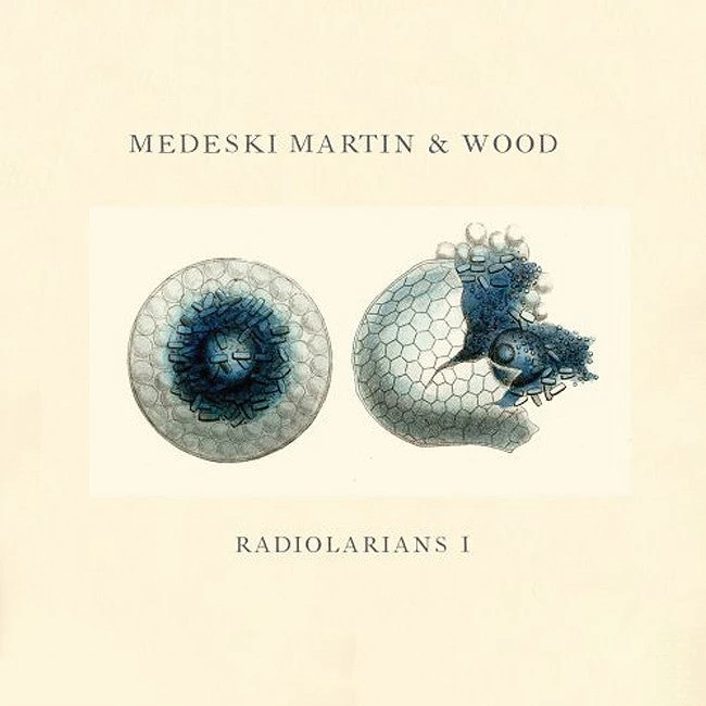 Medeski Martin & Wood Radiolarians I CD 2 Medeski Martin & Wood Radiolarians I CD