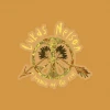 Lukas Nelson & Promise Of The Real Broken Arrow Peace Tree Sticker