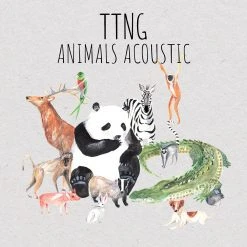 TTNG Animals Acoustic 12" Vinyl