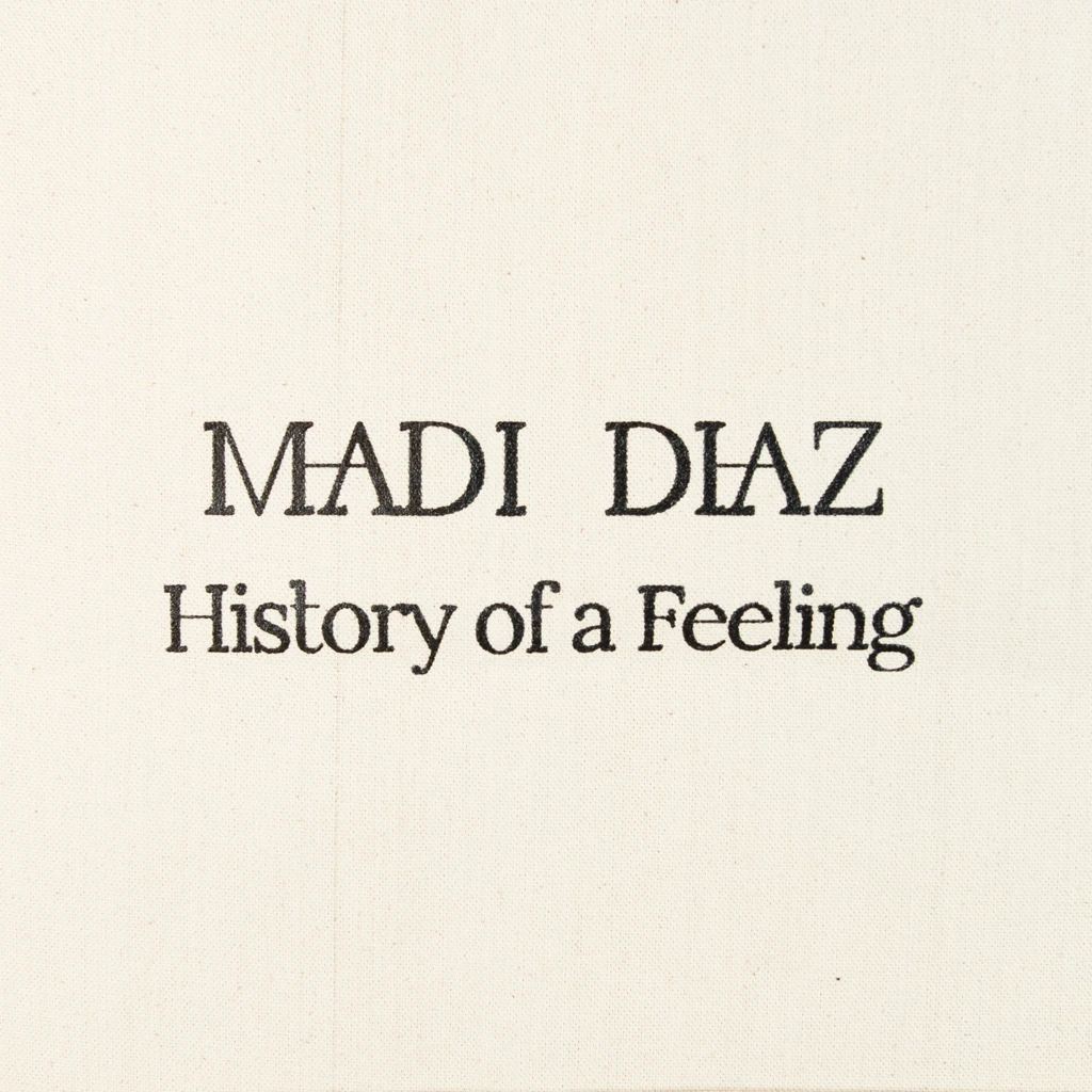 Madi Diaz History Of A Feeling Tote New Merch 5 Madi Diaz History Of A Feeling Tote New Merch