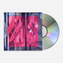 A Place To Bury Strangers Transfixiation CD