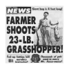 Weekly World News Grasshopper Sticker