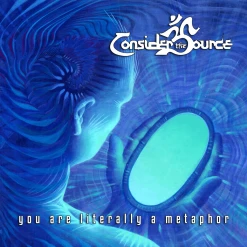 Consider The Source New Merch You Are Literally A Metaphor CD