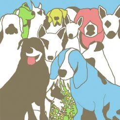 The Format Dog Problems CD