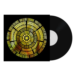 Wooden Shjips New Merch Shjips In The Night - Live In San Francisco 12" Vinyl